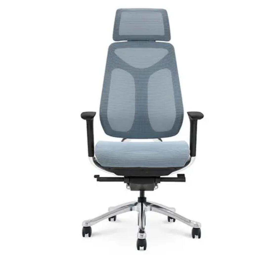 Mesh Executive Chair Ergonomic