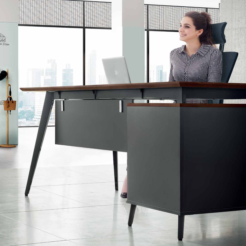 L Shaped Desk Office Furniture with Hutch