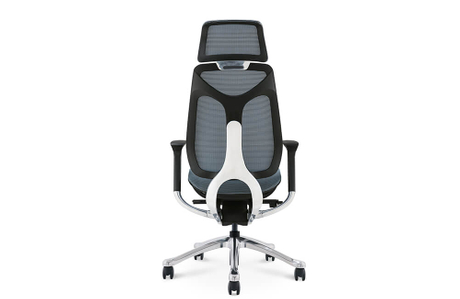 Mesh Executive Chair Ergonomic