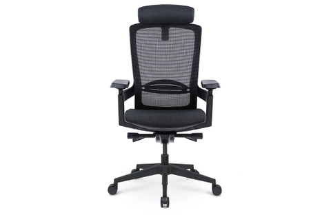 Ergonomic Office Desk Chair with Headrest