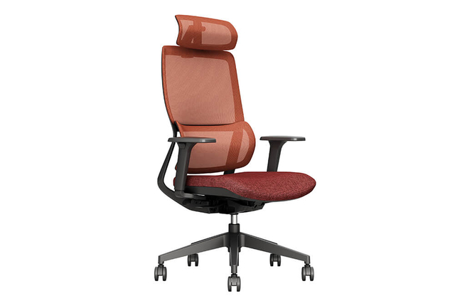 Luxury Modern Ergonomic Office Chair