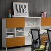 White Office Storage Cabinet for Files