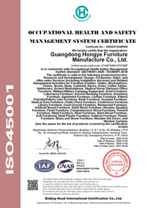  ISO45001 