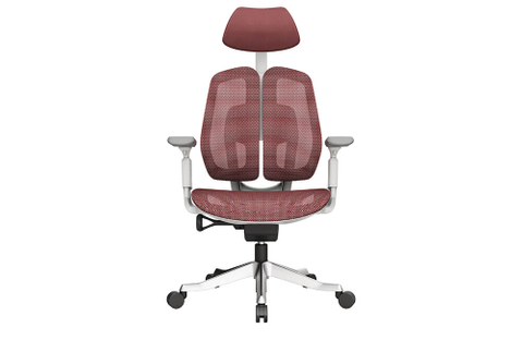 Ergonomic Office Chair with Lumbar Support