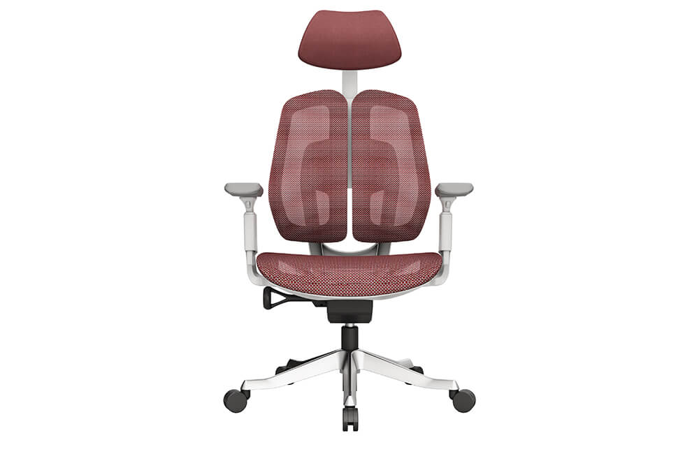 Ergonomic Office Chair with Lumbar Support