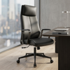 Ergonomic Executive Office Desk Chair with Padded Headrest
