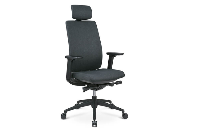 Ergonomic Adjustable Office Chair