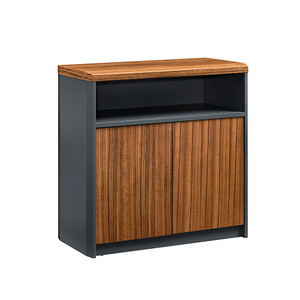 Black Office Special File Filing Cabinet with 2 Drawers