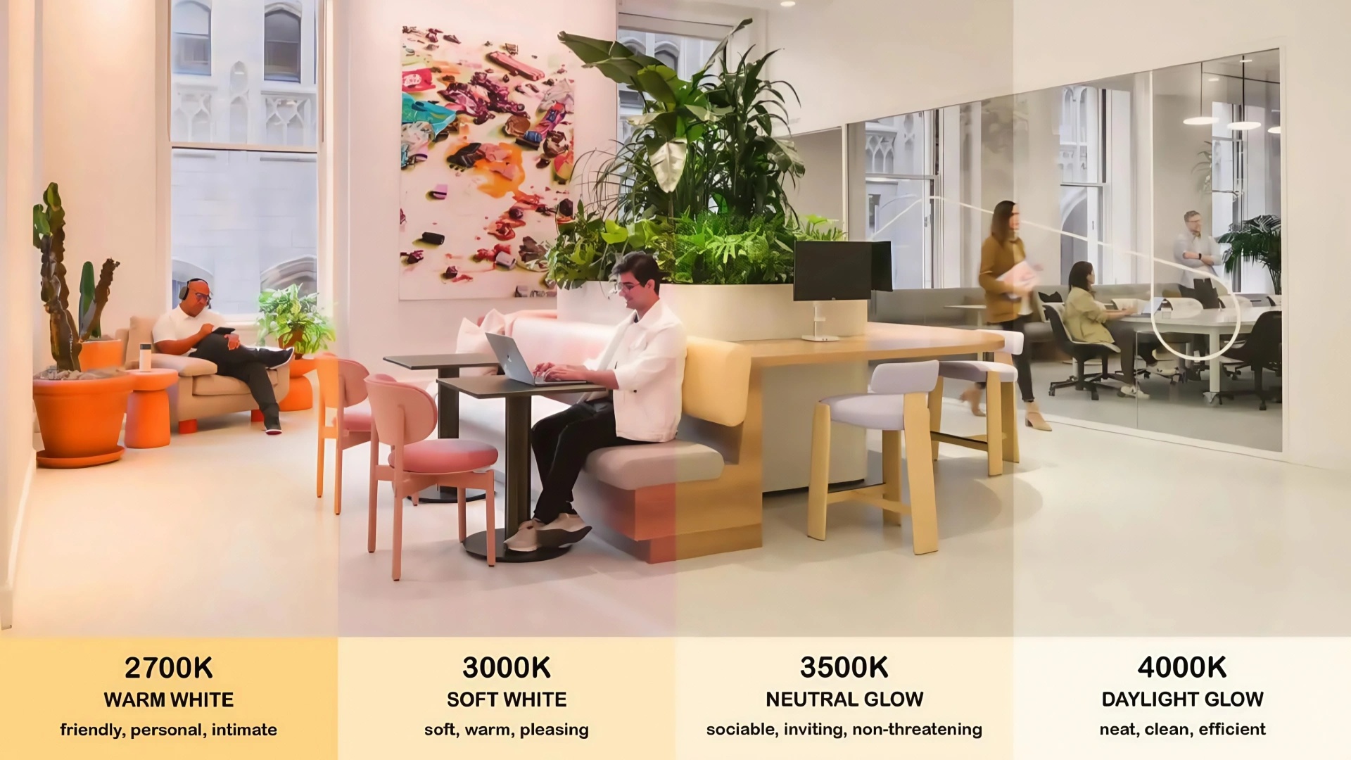 circadian-friendly office lighting