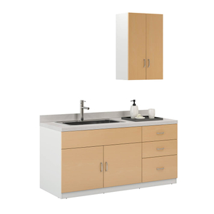 Medical Office Cabinets Casework with Sink