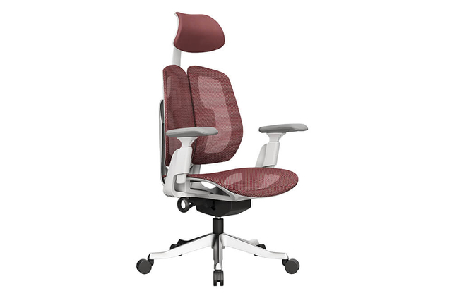 Ergonomic Office Chair with Lumbar Support