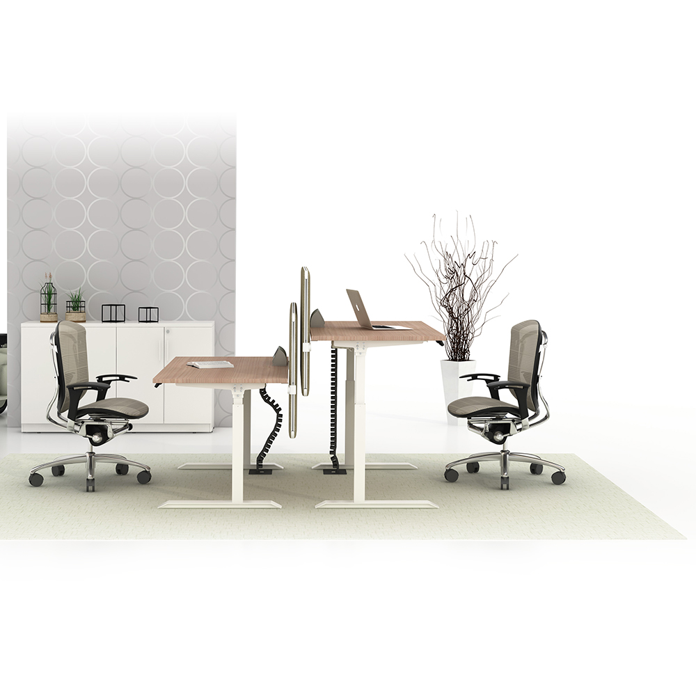 Hongye Height Adjustable Standing Desk for Office| HY-HAD001