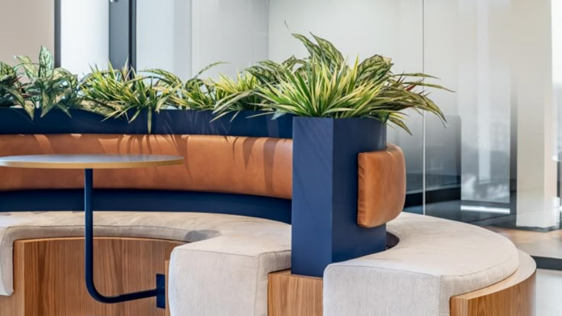 office furniture and plants
