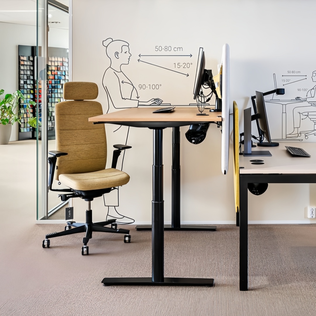 Ergonomics office seating