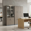 Office File Cabinet Modern Wood Storage Credenza Bookcase