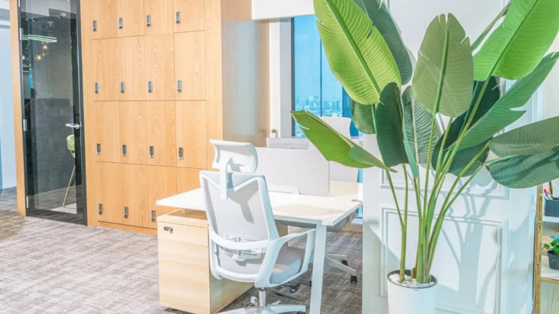 office 3