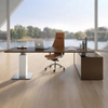 Height Adjustable Executive Desk Modern CEO Workstation