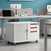 Mobile Rolling Multi-Tier Steel Office Storage Credenza
