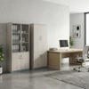 Office File Cabinet Modern Wood Storage Credenza Bookcase