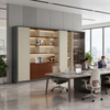 Executive Office Storage Cabinet Modern Shelves