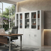 Glass Door Office Cabinet Modern Lockable Metal Filing Storage
