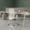 Office Workstation Modern Desk with Privacy Panel